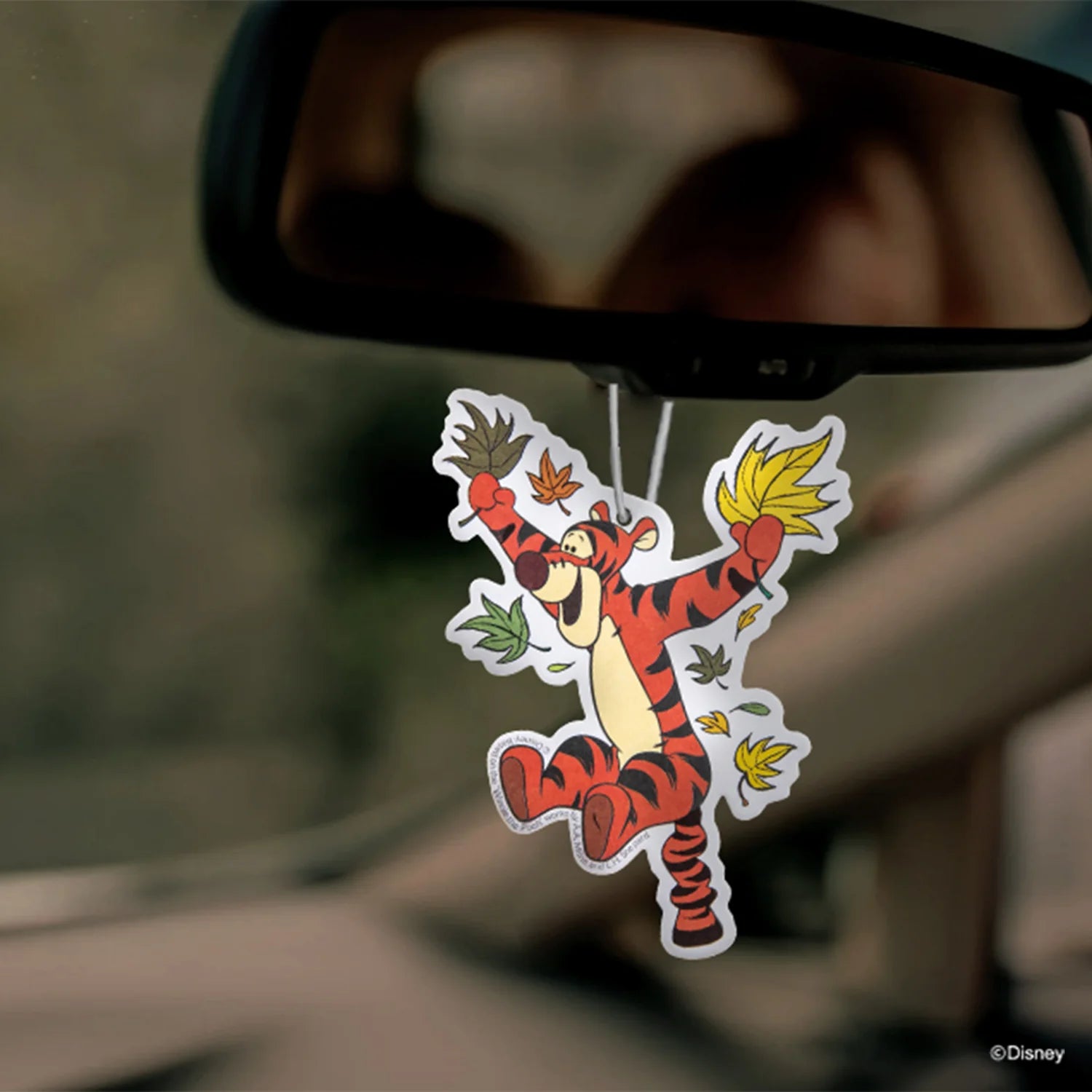 Short Story - Disney Winnie The Pooh Tigger Car Air Freshener