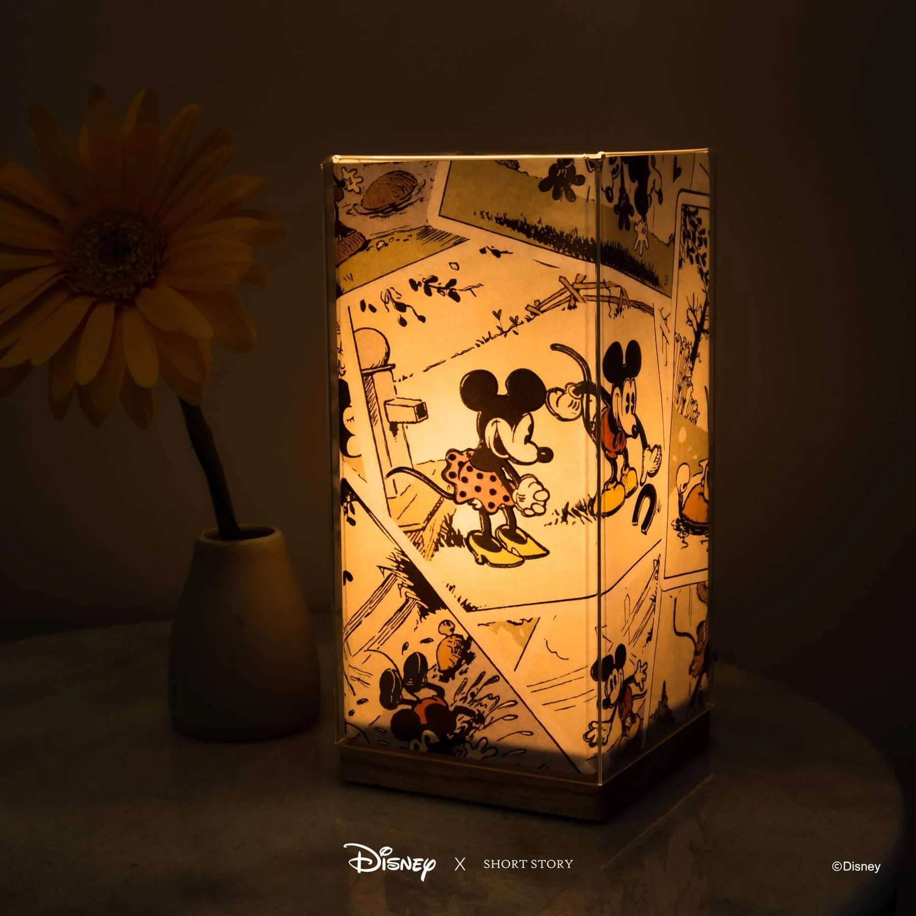 Short Story - Disney Kami Lamp Minnie