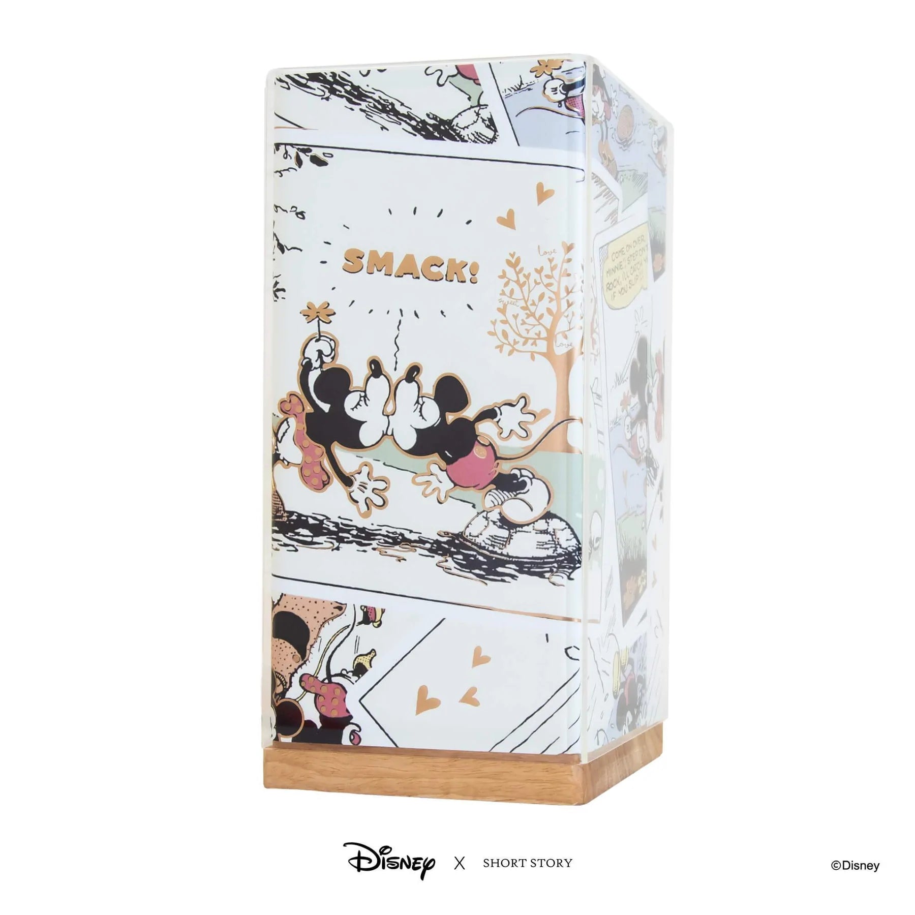 Short Story - Disney Kami Lamp Minnie